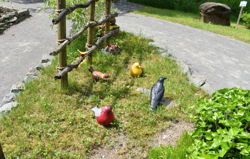 DSC_2463